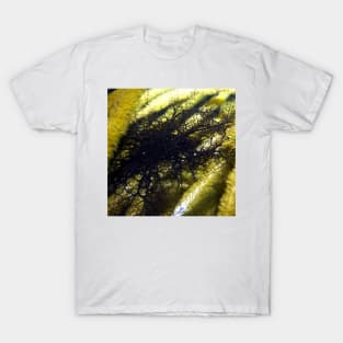 Black Basket Star at night T-Shirt